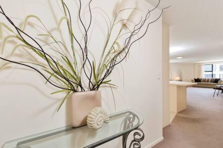Oceanside Apartment Mount Maunganui Ngoại thất bức ảnh